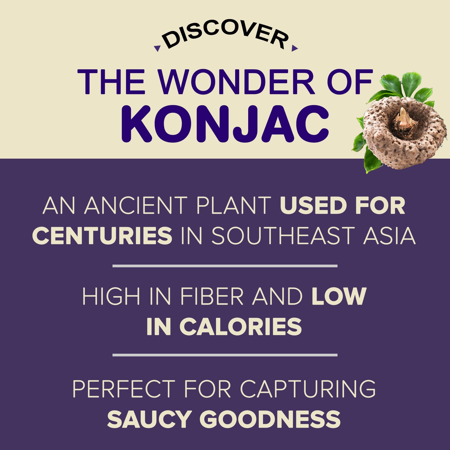 Shirataki Noodles - Keto Friendly